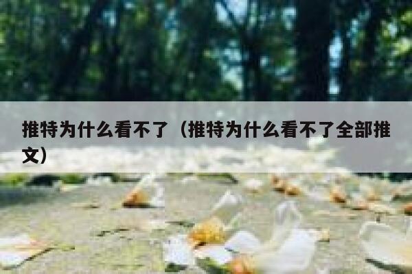 推特为什么看不了（推特为什么看不了全部推文） 第1张
