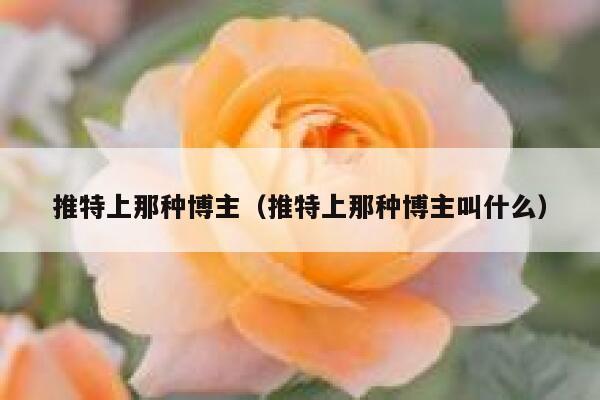 推特上那种博主（推特上那种博主叫什么） 第1张