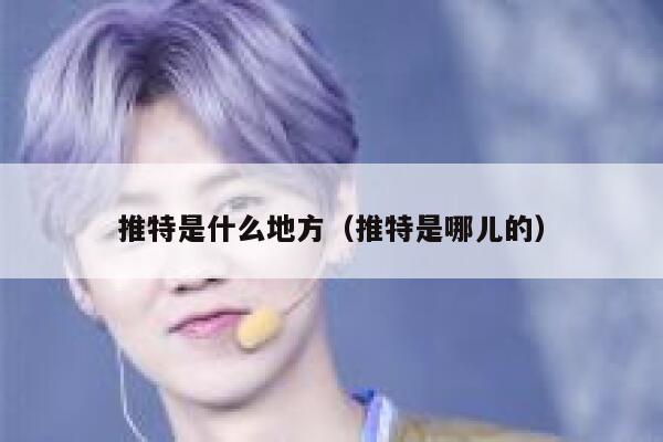 推特是什么地方（推特是哪儿的） 第1张