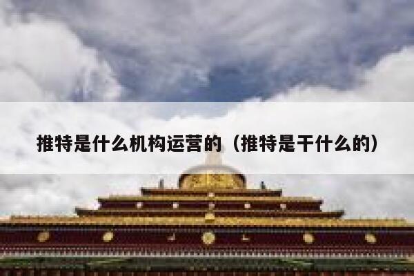 推特是什么机构运营的（推特是干什么的） 第1张