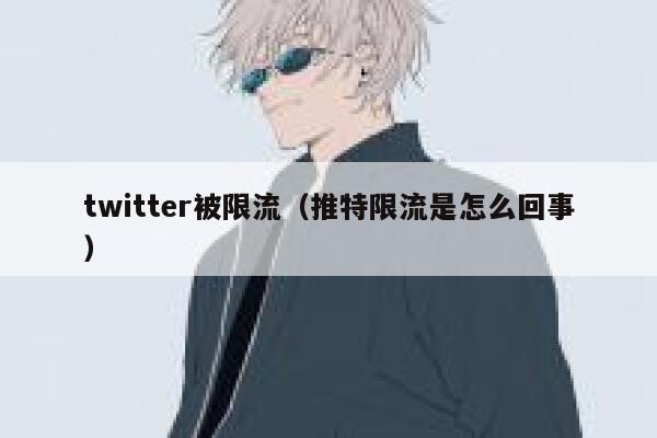 twitter被限流（推特限流是怎么回事） 第1张