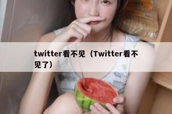 twitter看不见（Twitter看不见了） 第1张