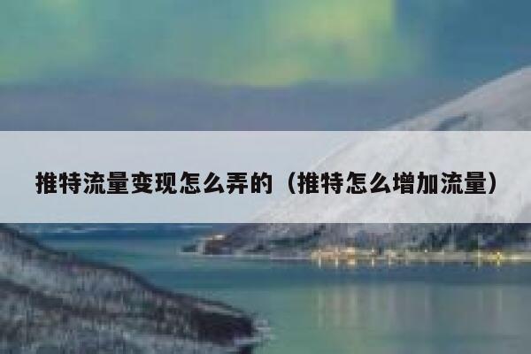 推特流量变现怎么弄的（推特怎么增加流量） 第1张