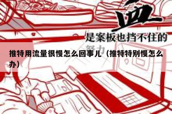 推特用流量很慢怎么回事儿（推特特别慢怎么办） 第1张