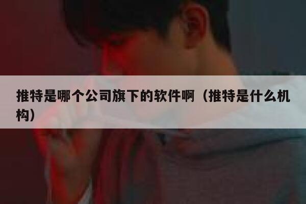 推特是哪个公司旗下的软件啊（推特是什么机构） 第1张