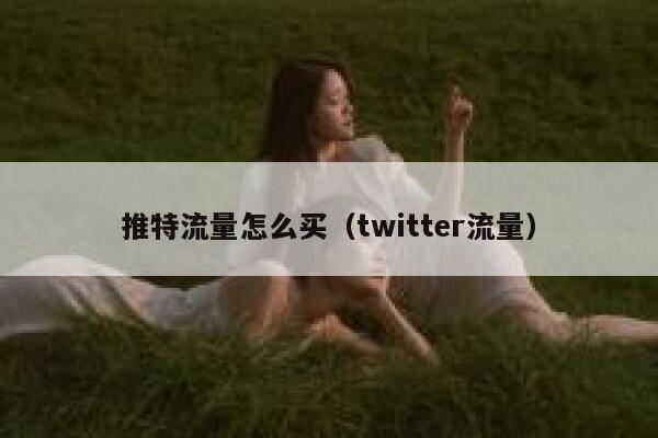 推特流量怎么买（twitter流量） 第1张
