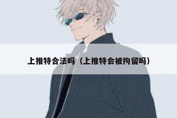 上推特合法吗(上推特会被拘留吗) 第1张 上推特合法吗(上推特会被拘留吗) 第1张