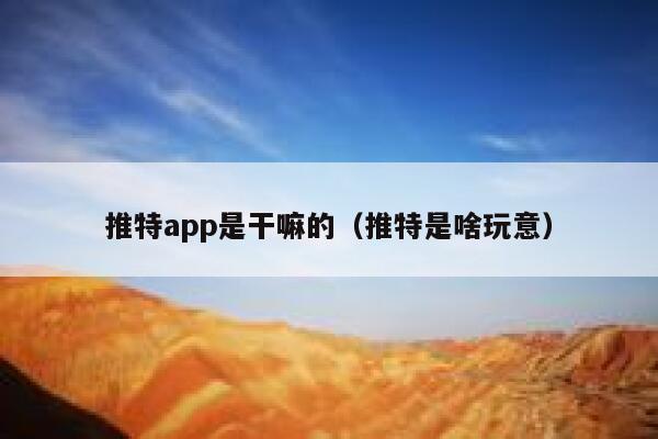 推特app是干嘛的（推特是啥玩意） 第1张