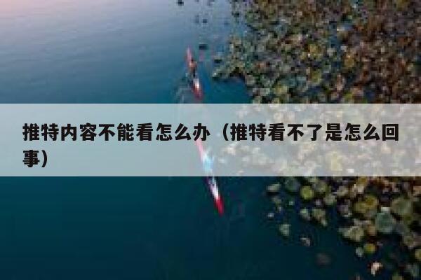 推特内容不能看怎么办（推特看不了是怎么回事） 第1张