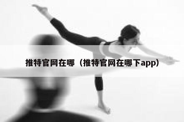 推特官网在哪（推特官网在哪下app） 第1张