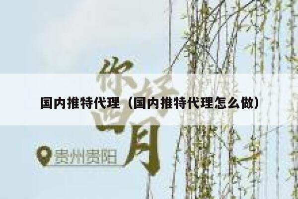 国内推特代理(国内推特代理怎么做) 第1张 国内推特代理(国内推特代理怎么做) 第1张