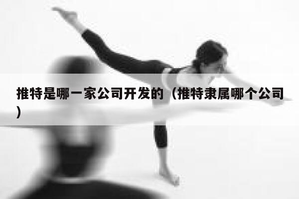 推特是哪一家公司开发的(推特隶属哪个公司) 第1张 推特是哪一家公司开发的(推特隶属哪个公司) 第1张