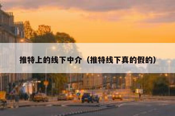 推特上的线下中介（推特线下真的假的） 第1张