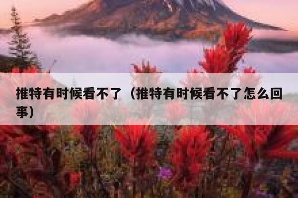 推特有时候看不了（推特有时候看不了怎么回事） 第1张