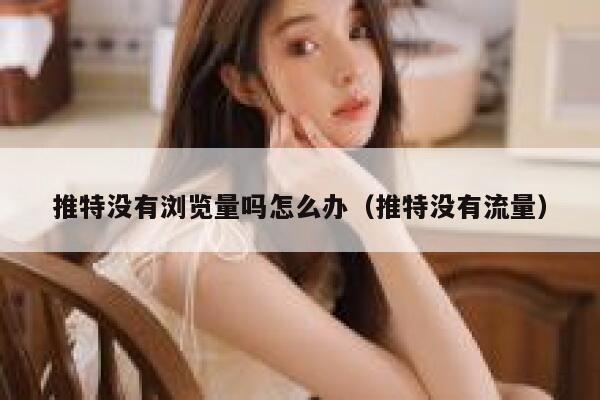推特没有浏览量吗怎么办（推特没有流量） 第1张