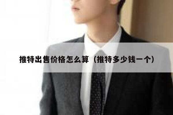 推特出售价格怎么算(推特多少钱一个) 第1张 推特出售价格怎么算(推特多少钱一个) 第1张