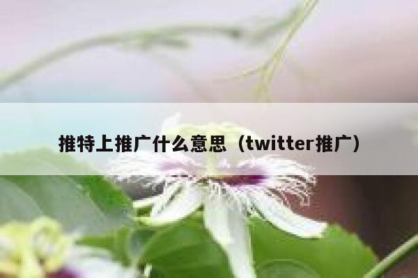 推特上推广什么意思（twitter推广） 第1张