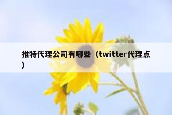 推特代理公司有哪些(twitter代理点) 第1张 推特代理公司有哪些(twitter代理点) 第1张