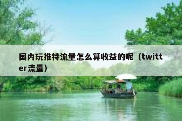 国内玩推特流量怎么算收益的呢（twitter流量） 第1张