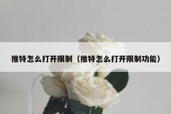 推特怎么打开限制（推特怎么打开限制功能） 第1张