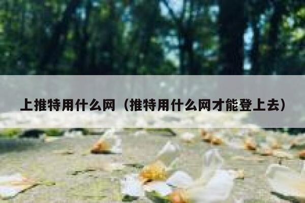 上推特用什么网（推特用什么网才能登上去） 第1张