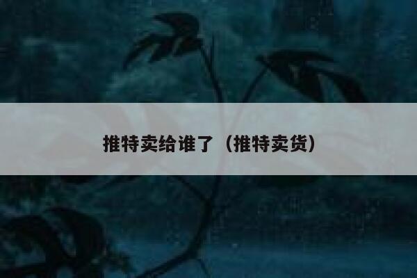 推特卖给谁了(推特卖货) 第1张 推特卖给谁了(推特卖货) 第1张