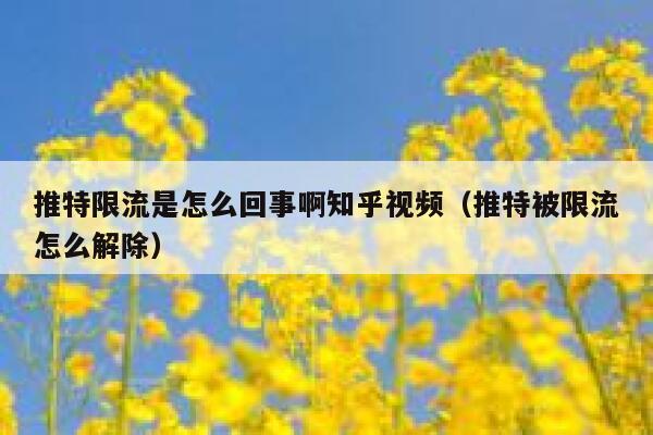 推特限流是怎么回事啊知乎视频（推特被限流怎么解除） 第1张