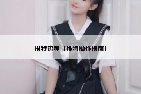 推特流程(推特操作指南) 第1张 推特流程(推特操作指南) 第1张