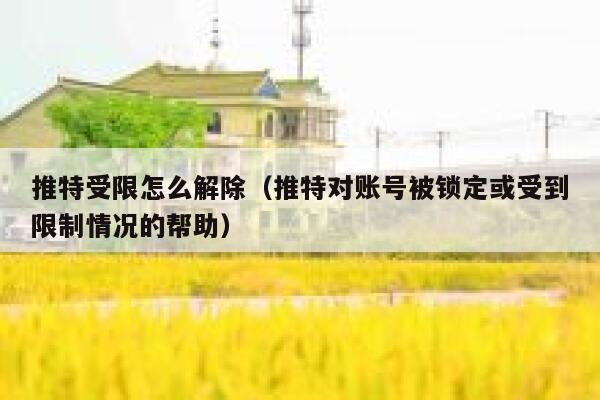 推特受限怎么解除（推特对账号被锁定或受到限制情况的帮助） 第1张