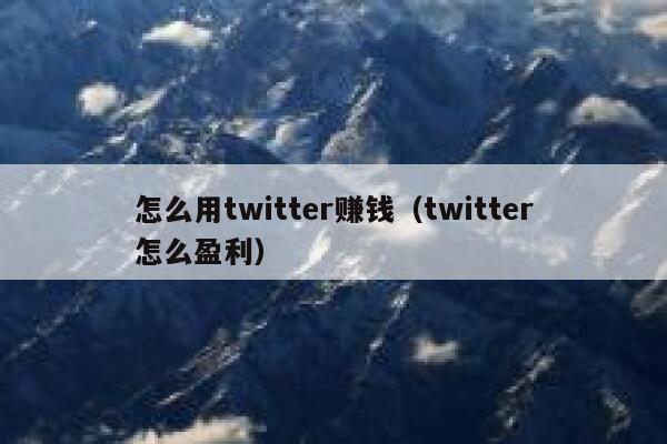 怎么用twitter赚钱（twitter怎么盈利） 第1张