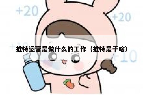 推特运营是做什么的工作（推特是干啥） 第1张