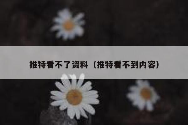 推特看不了资料（推特看不到内容） 第1张
