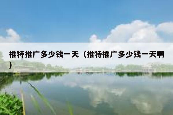 推特推广多少钱一天（推特推广多少钱一天啊） 第1张