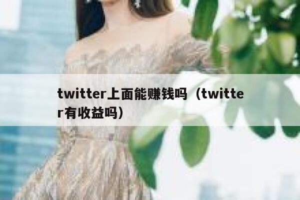 twitter上面能赚钱吗（twitter有收益吗） 第1张