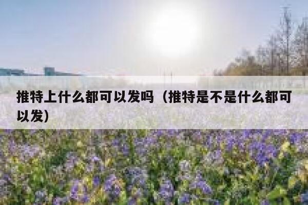 推特上什么都可以发吗（推特是不是什么都可以发） 第1张