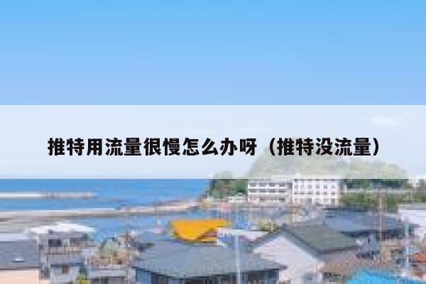 推特用流量很慢怎么办呀（推特没流量） 第1张