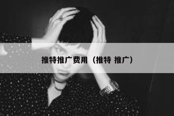 推特推广费用（推特 推广） 第1张