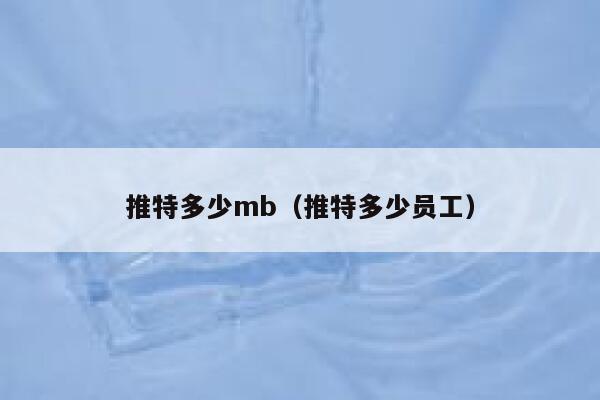 推特多少mb（推特多少员工） 第1张