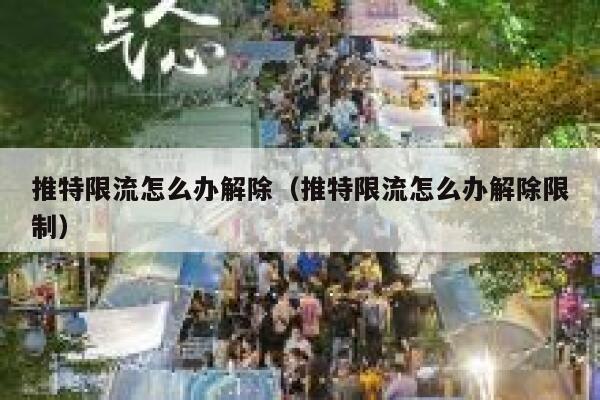 推特限流怎么办解除（推特限流怎么办解除限制） 第1张
