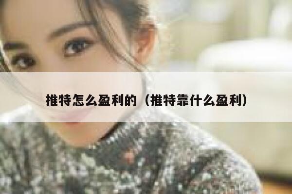 推特怎么盈利的（推特靠什么盈利） 第1张
