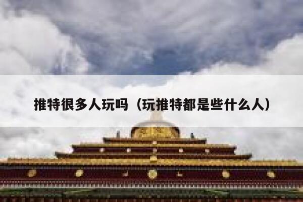 推特很多人玩吗（玩推特都是些什么人） 第1张