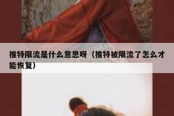 推特限流是什么意思呀（推特被限流了怎么才能恢复） 第1张