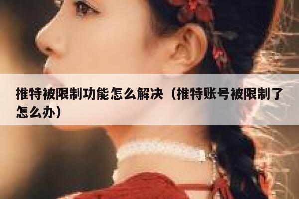 推特被限制功能怎么解决（推特账号被限制了怎么办） 第1张
