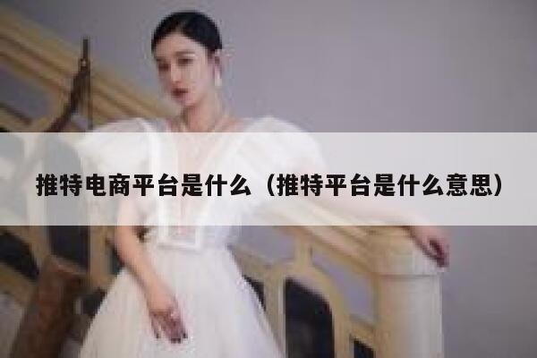 推特电商平台是什么（推特平台是什么意思） 第1张