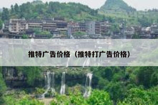 推特广告价格（推特打广告价格） 第1张