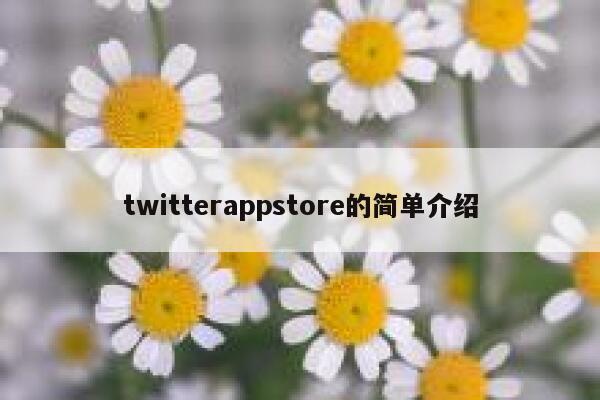twitterappstore的简单介绍 第1张 twitterappstore的简单介绍 第1张