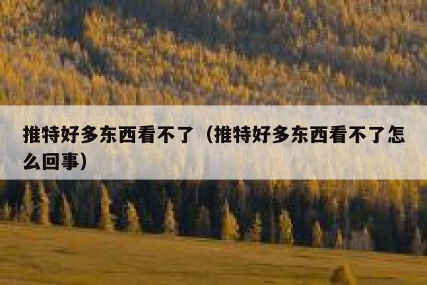 推特好多东西看不了（推特好多东西看不了怎么回事） 第1张