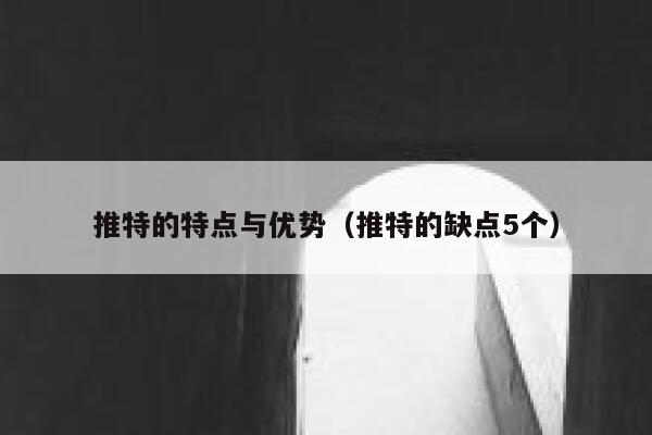 推特的特点与优势（推特的缺点5个） 第1张
