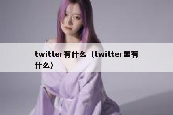 twitter有什么（twitter里有什么） 第1张