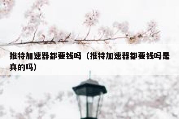 推特加速器都要钱吗（推特加速器都要钱吗是真的吗） 第1张
